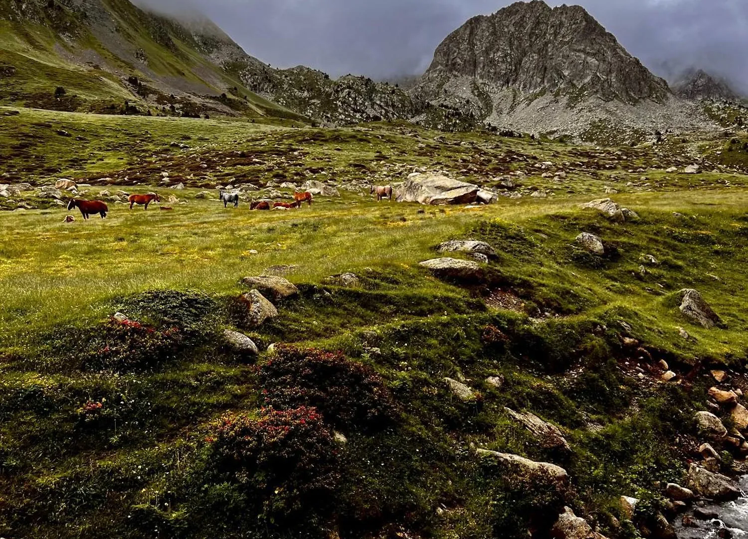 Frontera Blanca Apartamento Pas De La Casa Andorra